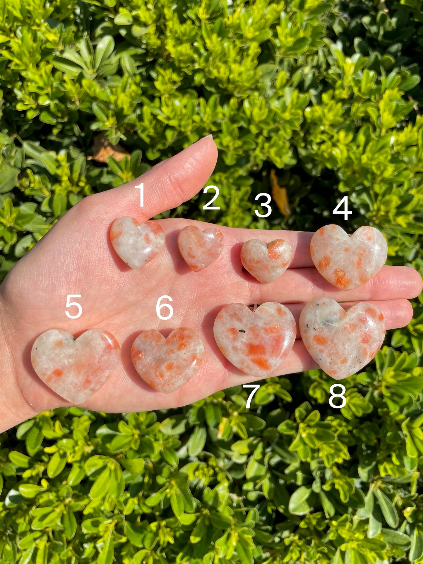 Sunstone Hearts