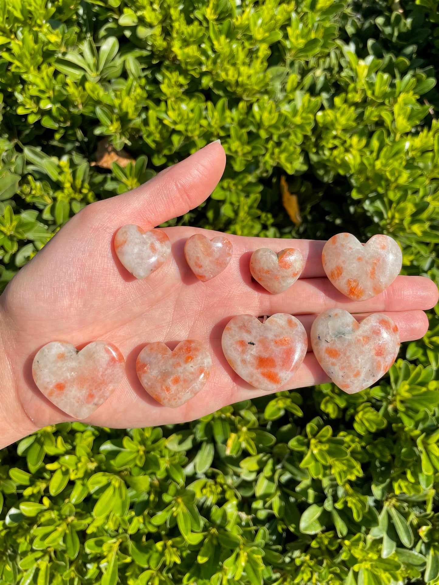 Sunstone Hearts