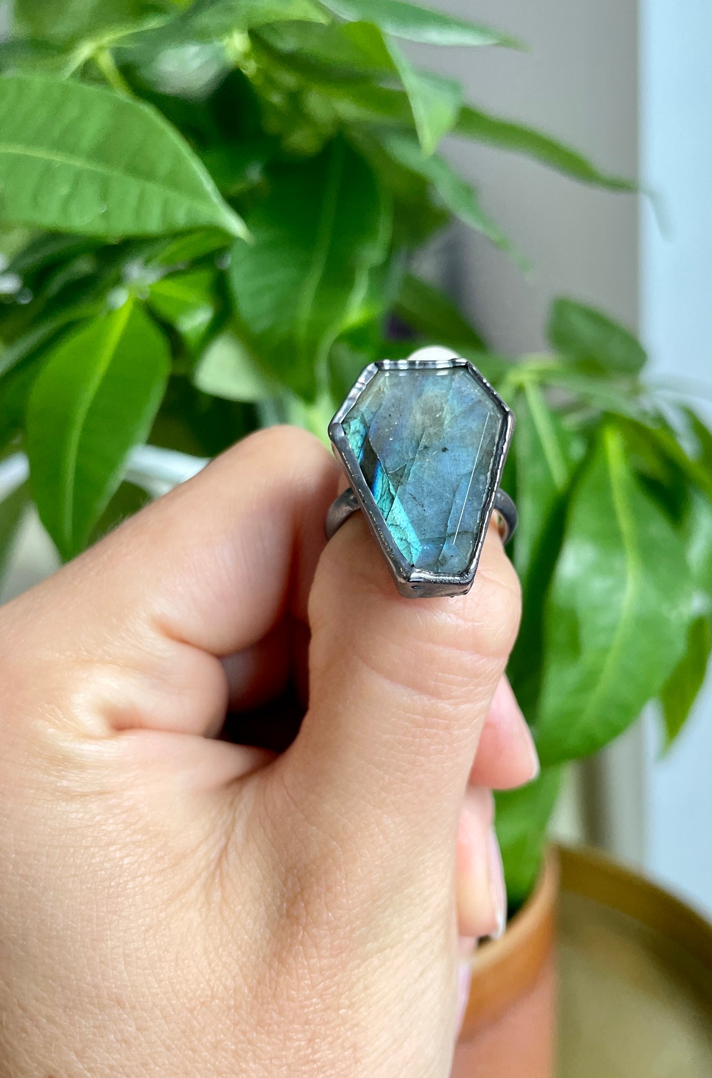 Single Band Coffin Rings: Labradorite