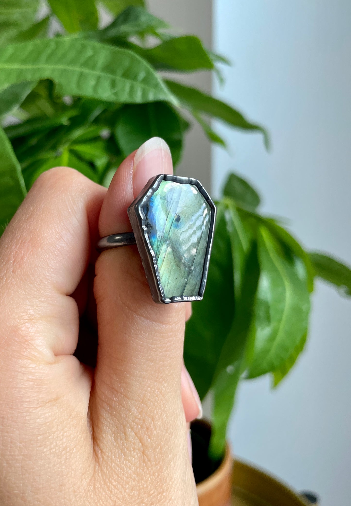 Single Band Coffin Rings: Labradorite