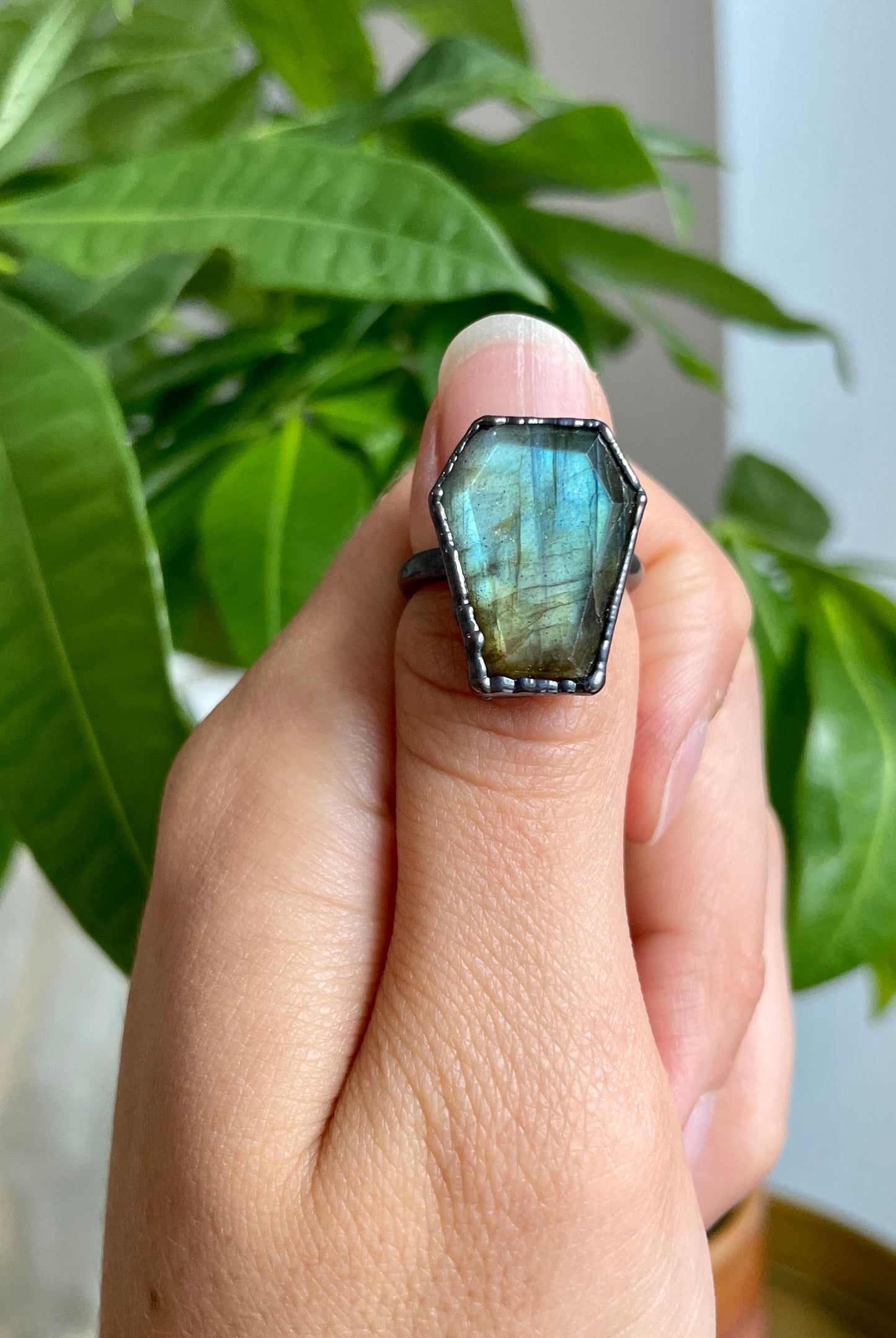 Single Band Coffin Rings: Labradorite