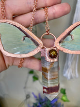 Load image into Gallery viewer, Sweet Luna: Baltic Amber &amp; Banded Onyx
